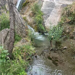 Meet your Posher, Cathy